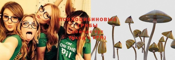 прущие крисы Беломорск