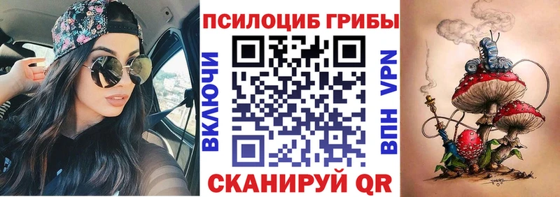 Галлюциногенные грибы Psilocybe  Сегежа 