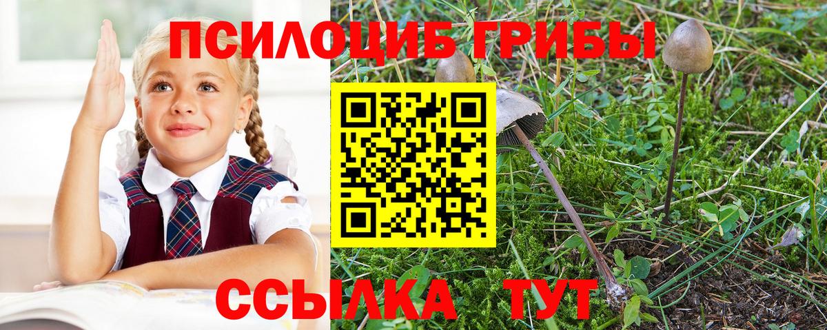 Псилоцибиновые грибы Psilocybine cubensis  Вход с VPN  Сегежа 
