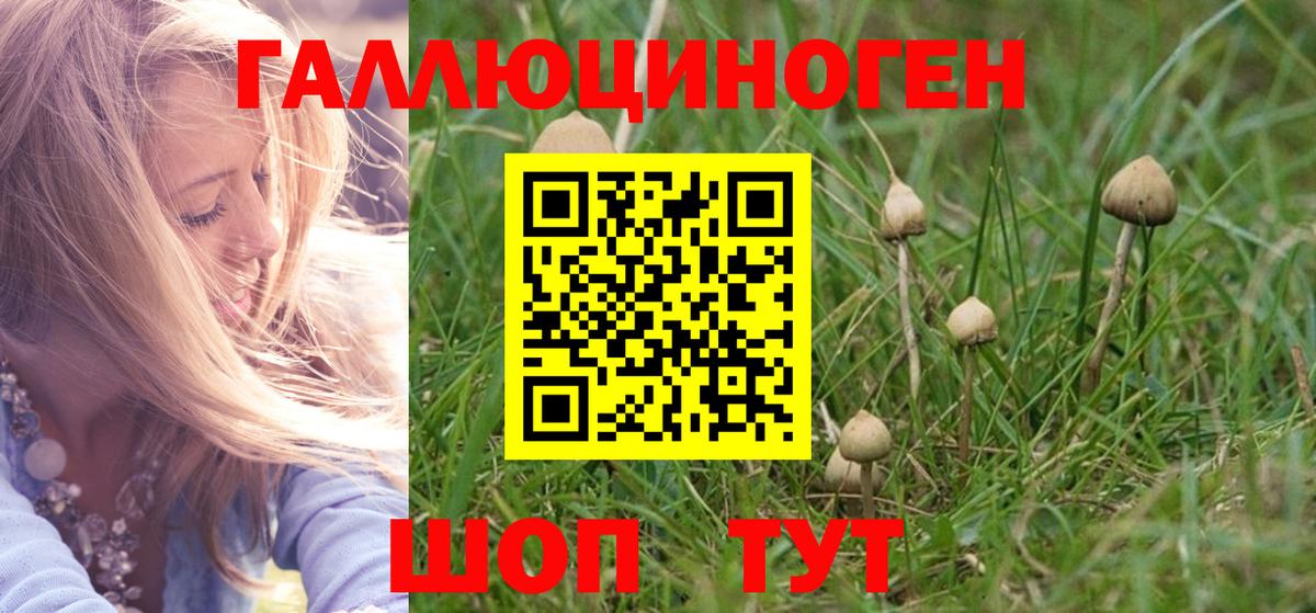 Галлюциногенные грибы мицелий Сегежа