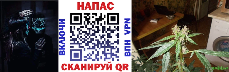 Канабис THC 21%  купить  цена  Сегежа 